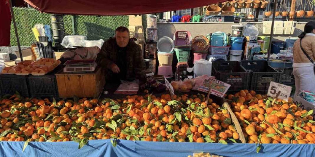 Sezonu 15 TL’den açtı fiyat düşüşü onu en ucuz meyve yaptı: Dalında 3, pazarda 5-10 TL! 1